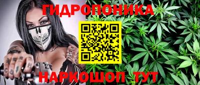 сатива Абакан