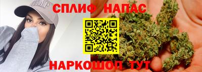 сатива Абакан