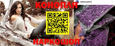 сатива Абакан