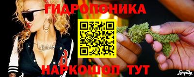 сатива Абакан