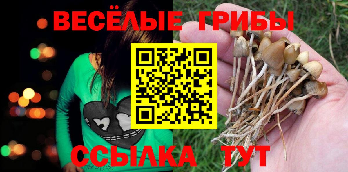 Галлюциногенные грибы мухоморы  Псилоцибиновые грибы Cubensis  Амурск  Вход с VPN 